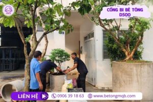 Cống bi bê tông D500 tại Bình Dương | Bê Tông MQB 3 cống bi bê tông trồng cây