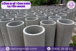 gia-cong-be-tong-d300
