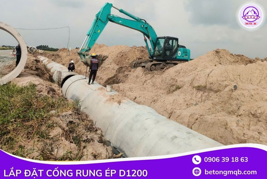 lap-dat-cong-rung-ep-d1200