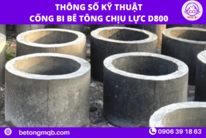 Thông số kỹ thuật cống bi bê tông chịu lực D800