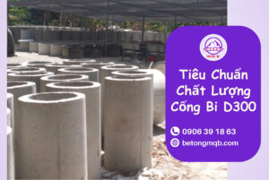 Tiêu chuẩn chất lượng cống bi D300