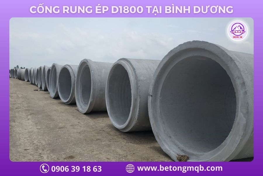 bao-gia-cong-rung-ep-d1800