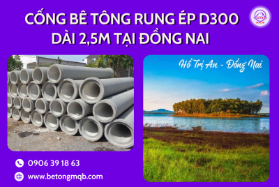 Cống Rung Ép Bê Tông D300 Dài 2,5M Tại Đồng Nai