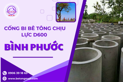 Cống bi bê tông chịu lực D600