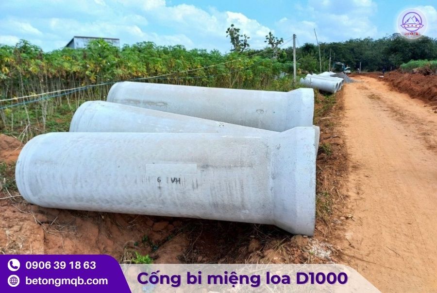 Cống Bi Miệng Loa D1000 Tại Tp. Hồ Chí Minh 1 4