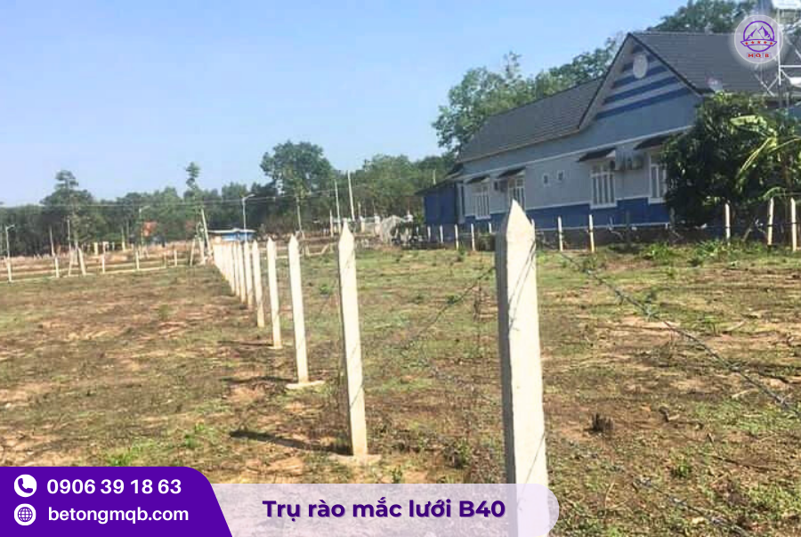 tru hang rao 80x100x2500mm bang be tong