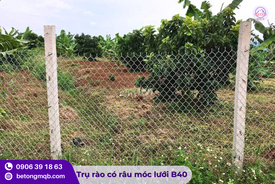 tru hang rao 80x100x2500mm chat luong