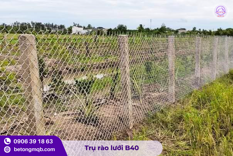 Trụ hàng rào 80x90x2500mm tại TPHCM 2 Trụ hàng rào 80x90x2500mm chất lượng