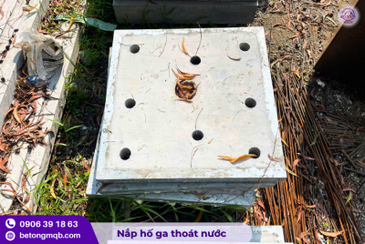 nap ho ga be tong 900x900x100mm tai long an