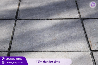 Tấm đan bê tông 500x1000x100mm