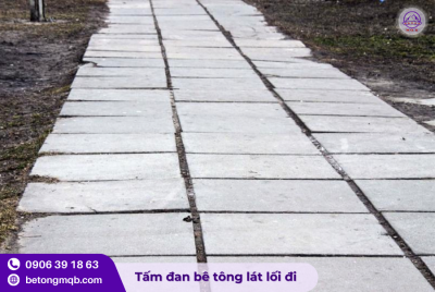 Tấm đan bê tông 500x1000x100mm làm đường đi