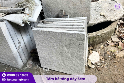 Tấm đan bê tông 50cm