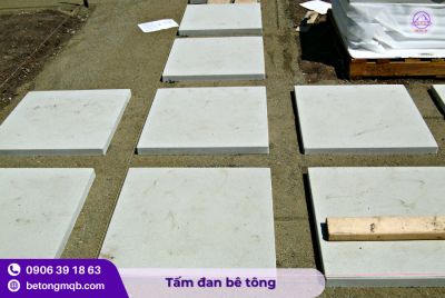 Tấm đan bê tông 600x600x60mm