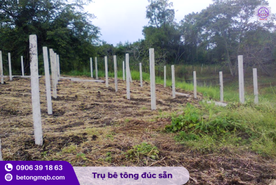 Trụ bê tông 120x120x2500mm