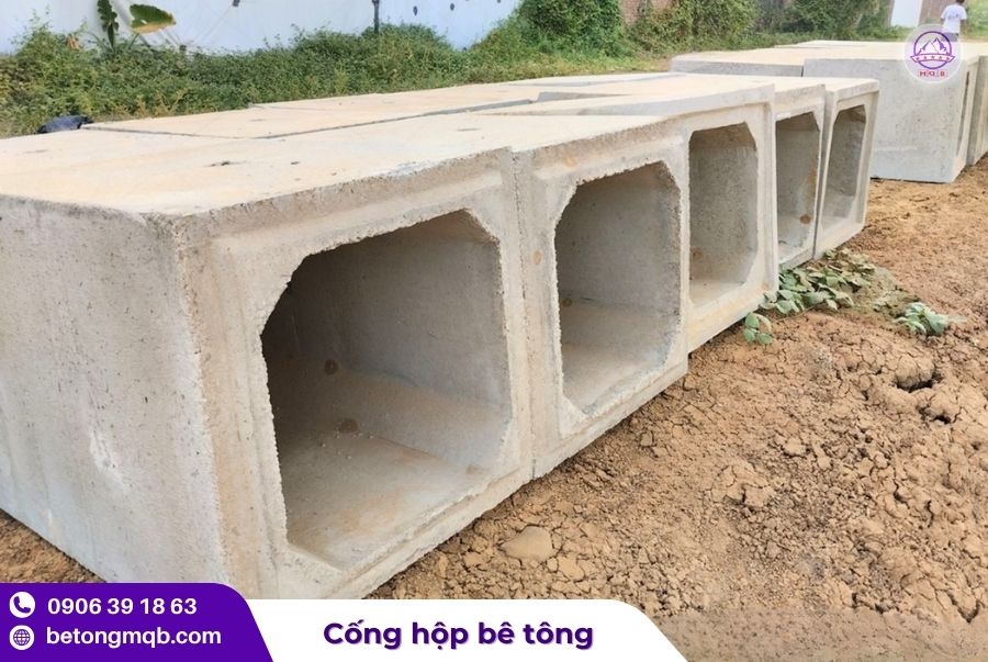 cong hop be tong chiu luc