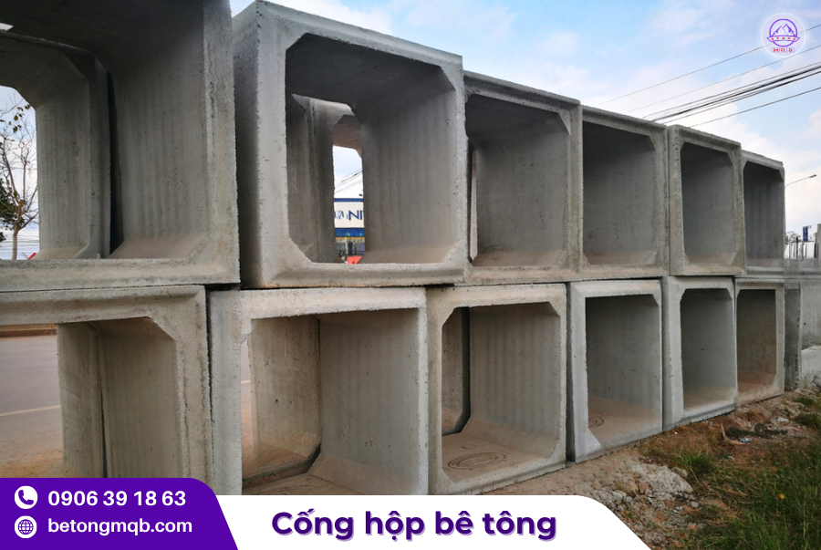 cong hop btct duc san tai mien nam
