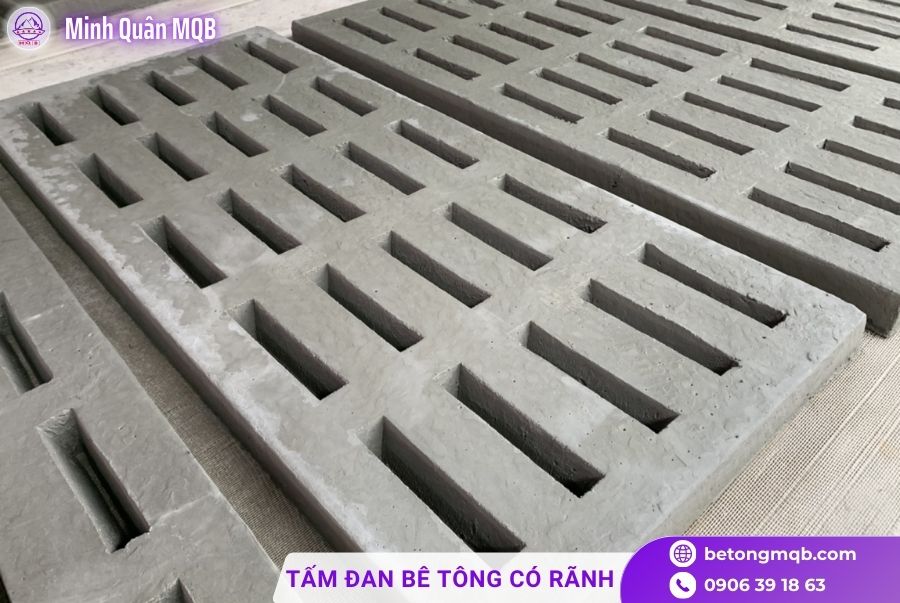 tam dan co ranh mien nam