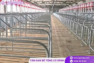 tam dan ranh be tong