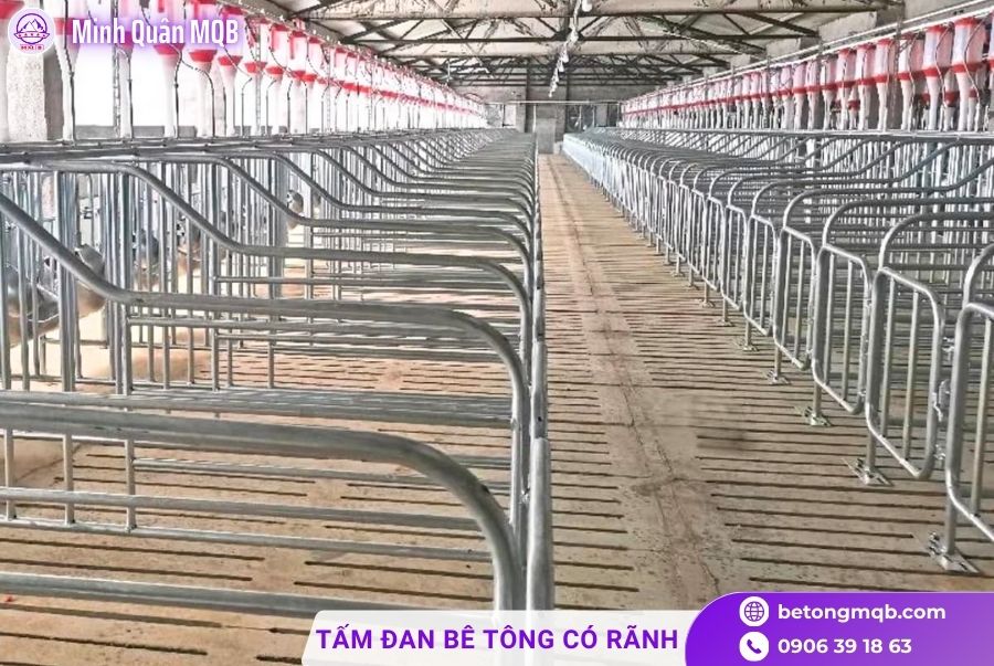 tam dan ranh be tong