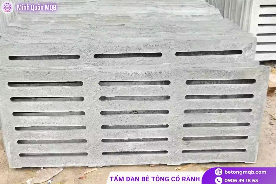 tam dan ranh tai quan 12