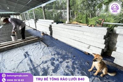 Cọc bê tông hàng rào lưới B40