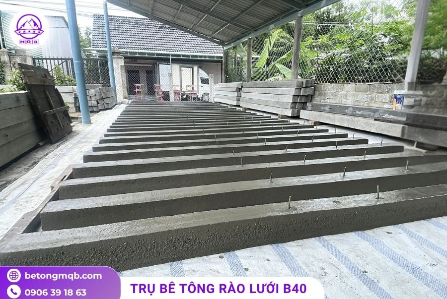 coc be tong hang rao luoi b40 chiu luc