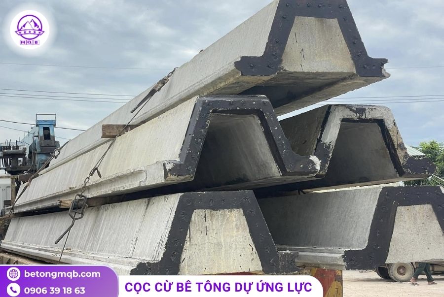 coc van btct du ung luc cao cap