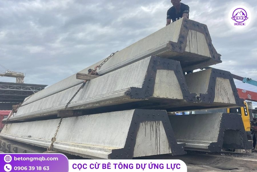 coc van btct du ung luc duc san