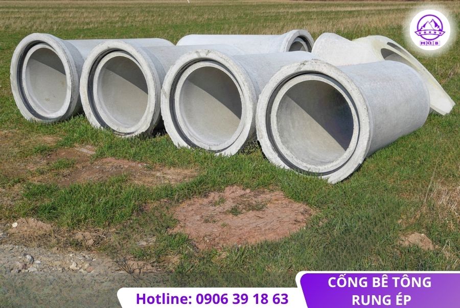 cong rung ep tai long an gia re 1