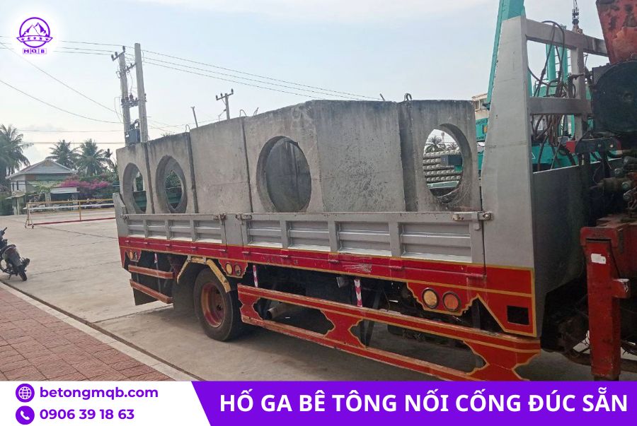 ho ga be tong cho cong d300 tai mien nam