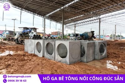 ho ga be tong cho cong d600 tai mien nam