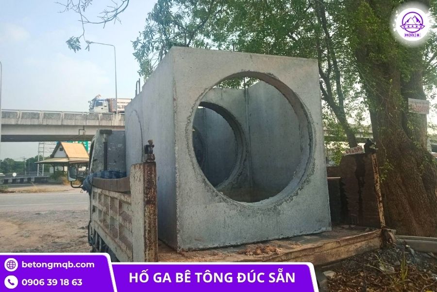 ho ga cho cong d400 chat luong cao