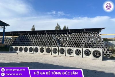 ho ga cho cong d400 tai mien nam