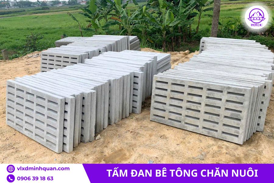 Tấm đan chăn nuôi bằng bê tông 600x1000x60mm 6 Tấm đan chăn nuôi