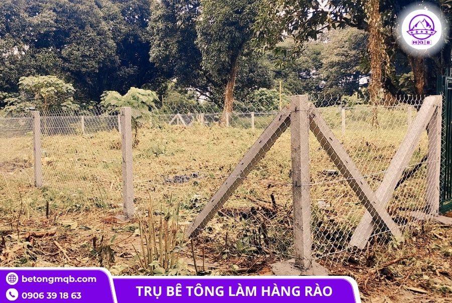 Trụ bê tông 120x120x3500mm rào lưới B40 đúc sẵn 2 tru be tong 120x120x3500mm cao cap