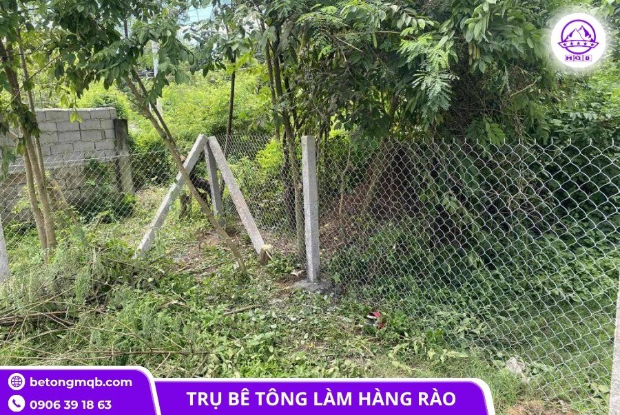 Trụ bê tông 120x120x3500mm rào lưới B40 đúc sẵn 3 tru be tong 120x120x3500mm cot thep