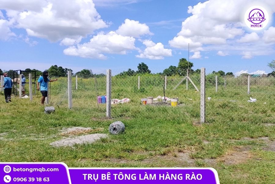 Trụ bê tông 120x120x3500mm rào lưới B40 đúc sẵn 4 tru be tong 120x120x3500mm rao luoi b40