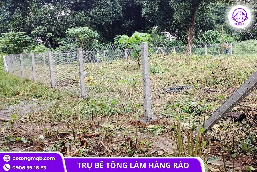 Trụ bê tông 120x120x3500mm rào lưới B40 đúc sẵn 5 tru be tong 120x120x3500mm tai mien nam