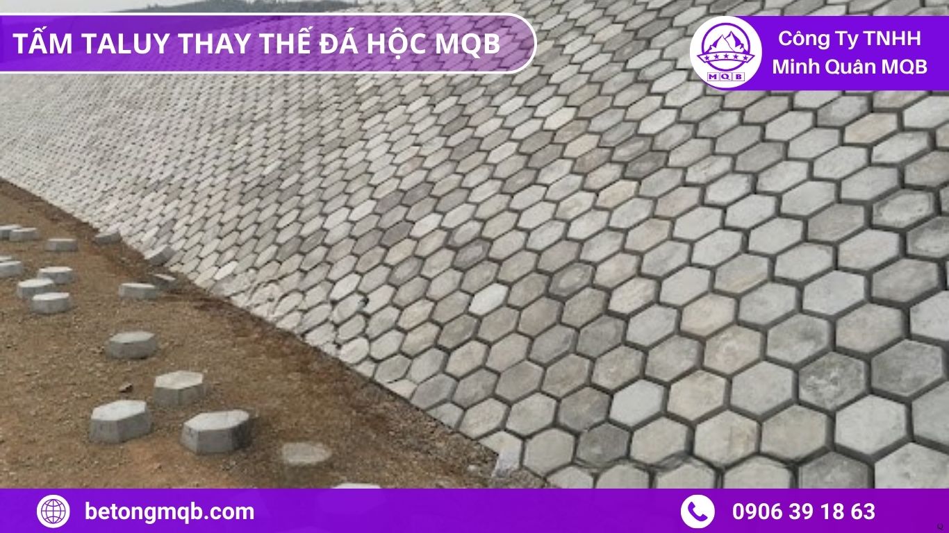 Tấm taluy tối ưu chi phí kè đê  MQB thực tế
