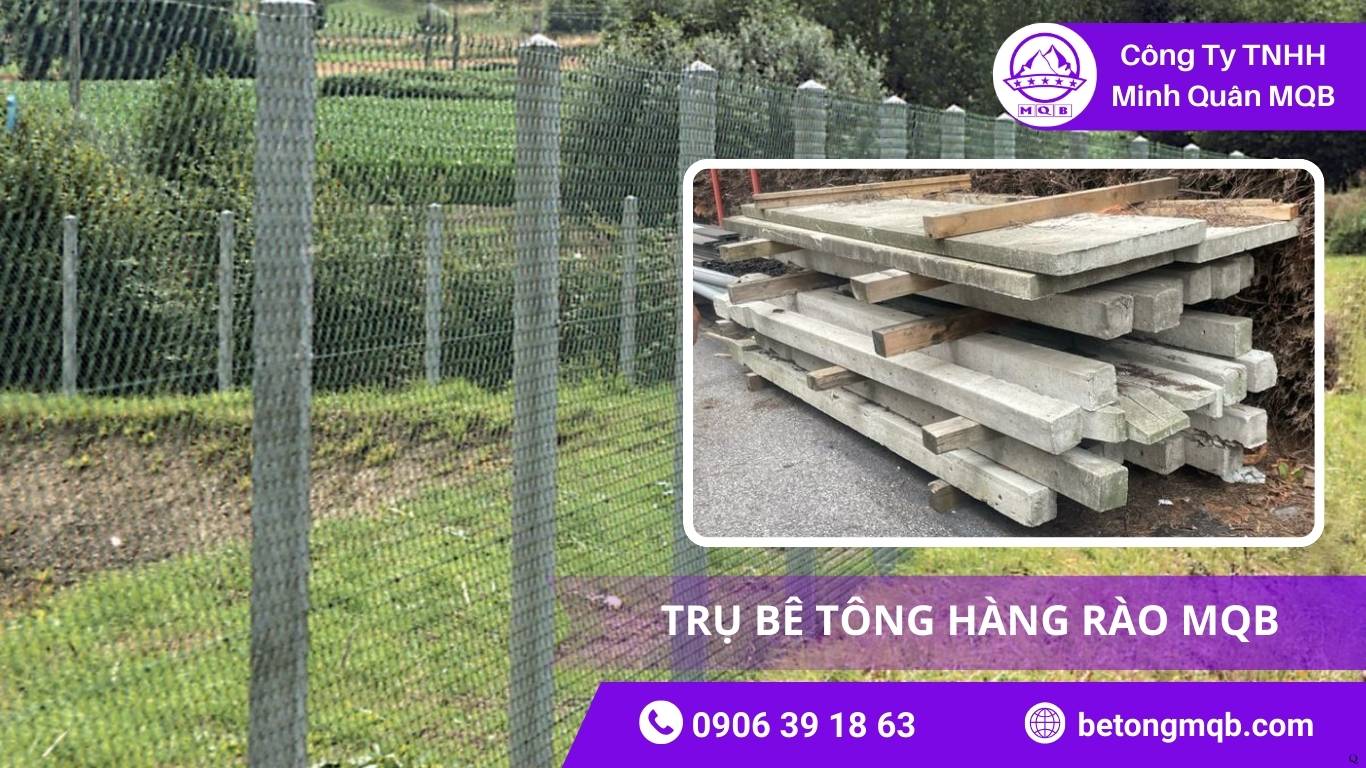 Trụ Bê Tông Trang Trại – Giải Pháp Bền Cho Nông Nghiệp MQB