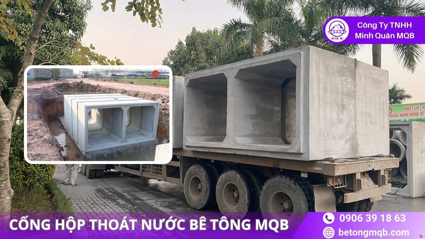 Cống Hộp Bê Tông Ven Sông – Giải Pháp Chống Ngập 2026 MQB
