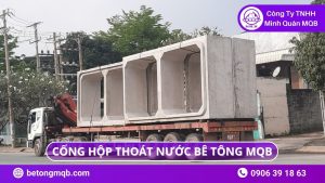 Kiểm Định Cống Hộp Bê Tông TCVN 9116 – Quy Trình Chuẩn 2026 | Bê Tông