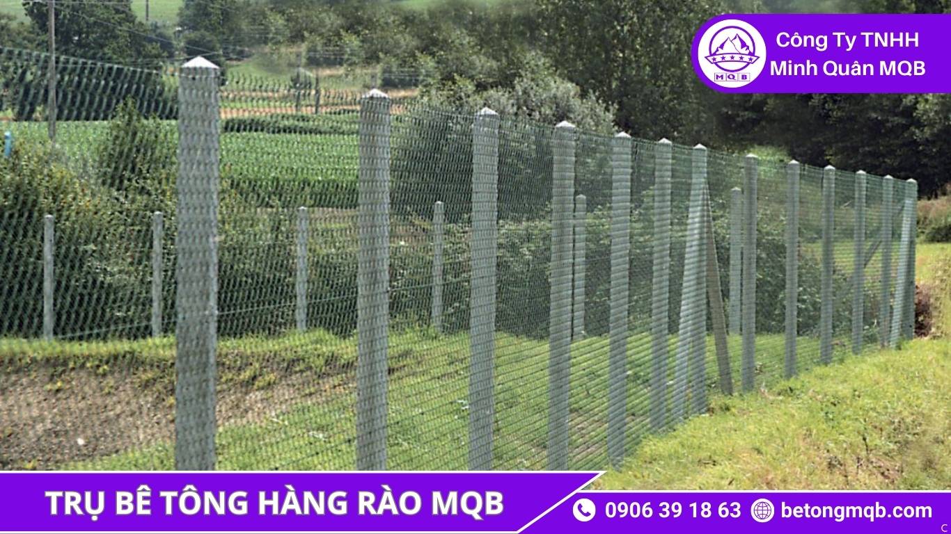 công trình hàng rào bê tông MQB