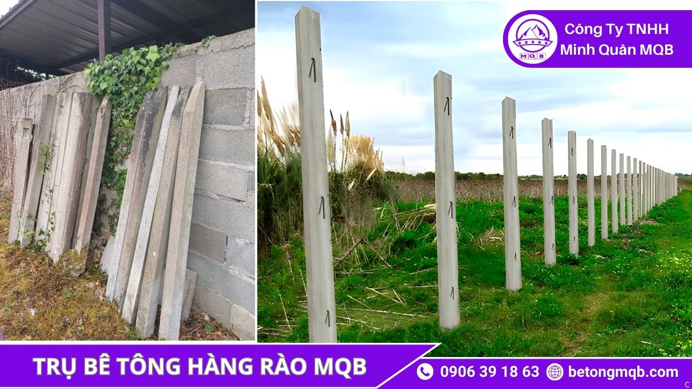công trình trụ rào bê tông MQB