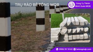5 Điểm Khác Biệt Trụ Rào Bê Tông Và Trụ Thép Năm 2026 | Bê Tông MQB