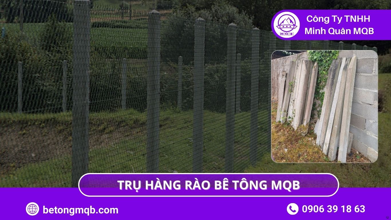  thông số trụ rào bê tông 3