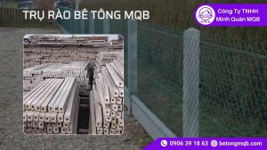 Cấu Tạo Trụ Rào Bê Tông Đúc Sẵn: Lõi Thép & Độ Bền 2026 MQB