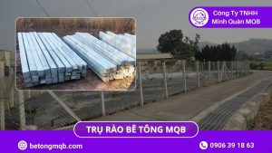 Độ Bền Trụ Rào Bê Tông Trước Thời Tiết & Môi Trường 2026 | Bê Tông MQB
