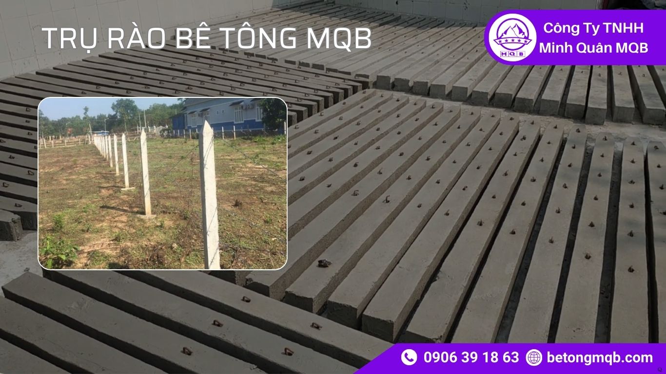 Trụ Rào Bê Tông Đúc Sẵn: Giải Pháp Giảm Chi Phí Dài Hạn 2026 | Bê Tông MQB