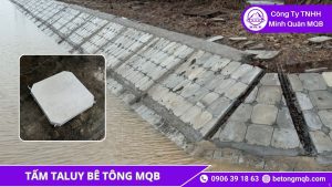ứng dụng tấm taluy bê tông ven biển trên công trình kè